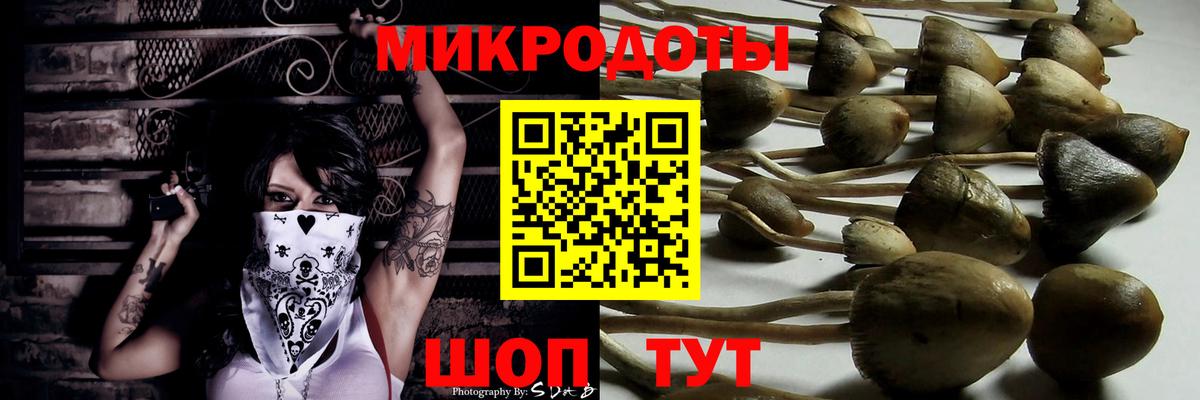 Архангельск  Псилоцибиновые грибы мухоморы  Вход с VPN  Псилоцибиновые грибы GOLDEN TEACHER 
